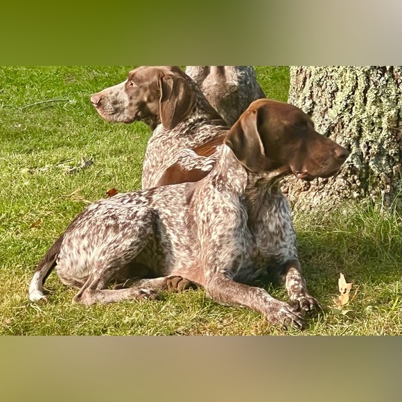 Meet your Posher, Summer - Picture 2 of 2